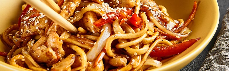 Japanese udon category header image